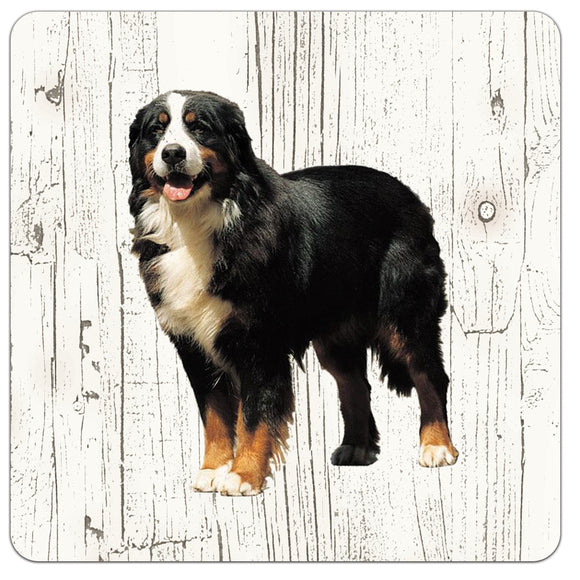 Hond Berner Senne | Houten Onderzetters 6 Stuks