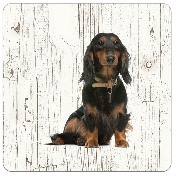Hond Teckel langharig | Houten Onderzetters 6 Stuks