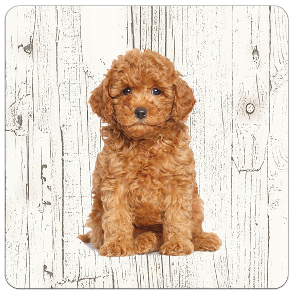 Hond Poedel | Houten Onderzetters 6 Stuks