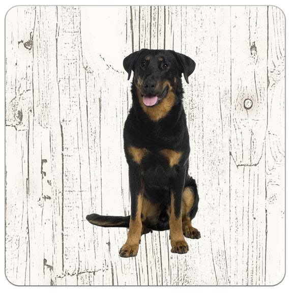 Hond Beauceron | Houten Onderzetters 6 Stuks