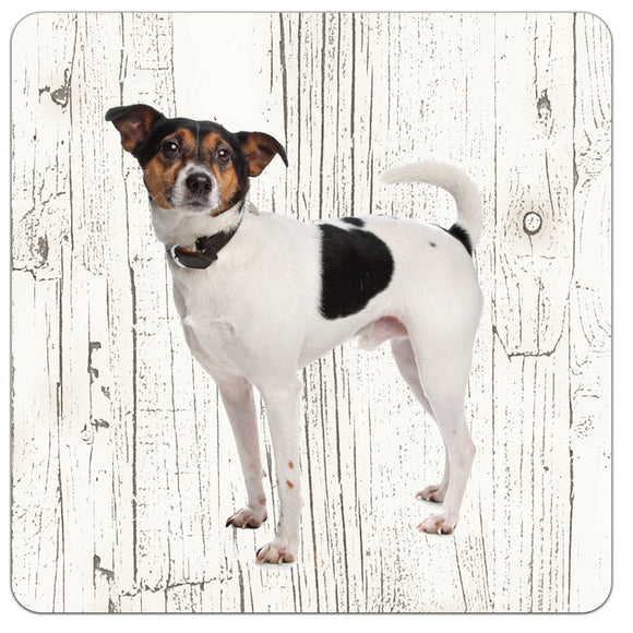 Hond Boerenfox | Houten Onderzetters 6 Stuks