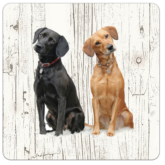 Hond Labrador | Houten Onderzetters 6 Stuks