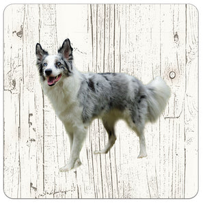 Hond Bordercollie | Houten Onderzetters 6 Stuks