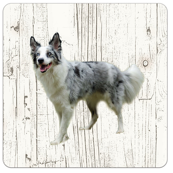 Hond Bordercollie | Houten Onderzetters 6 Stuks