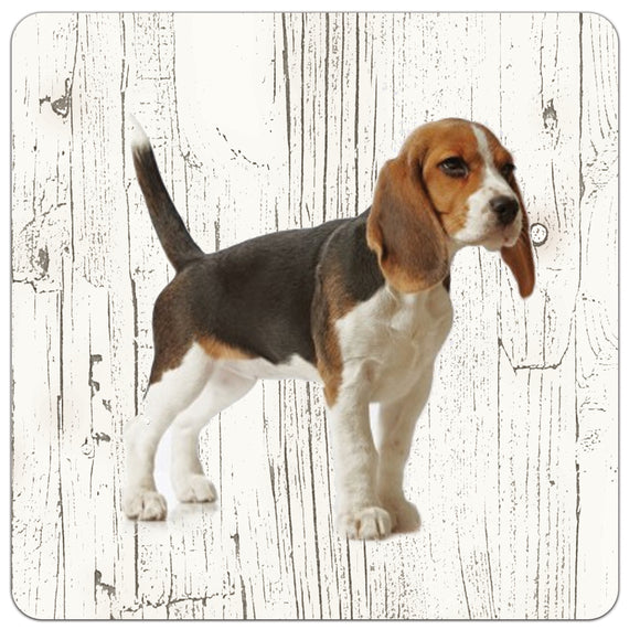 Hond Beagle | Houten Onderzetters 6 Stuks