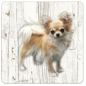 Hond Chihuahua | Houten Onderzetters 6 Stuks