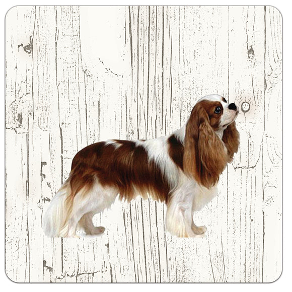 Hond King Charles | Houten Onderzetters 6 Stuks