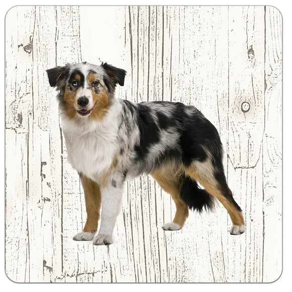 Hond Bordercollie Tricolor | Houten Onderzetters 6 Stuks