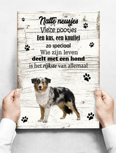 Wandbord hond: Bordercollie Tricolor - 30 x 42 cm