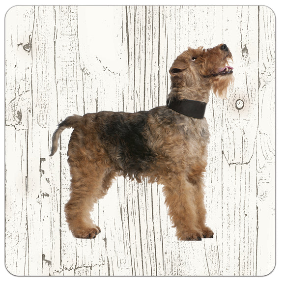 Hond Fox Terrier | Houten Onderzetters 6 Stuks