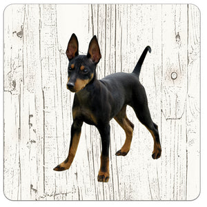 Hond Doberman Pinscher | Houten Onderzetters 6 Stuks