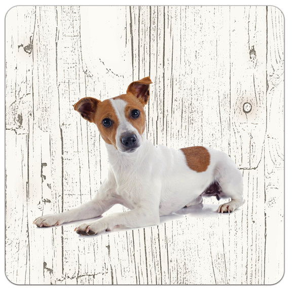 Hond Jack Russel | Houten Onderzetters 6 Stuks