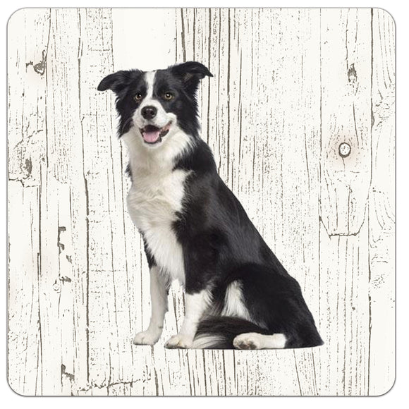 Hond Border Collie | Houten Onderzetters 6 Stuks