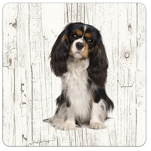 Hond King Charles | Houten Onderzetters 6 Stuks
