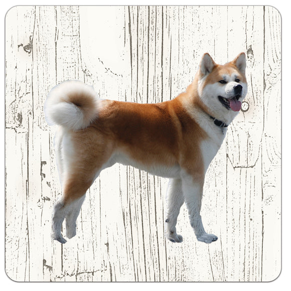 Hond Shiba Inu | Houten Onderzetters 6 Stuks