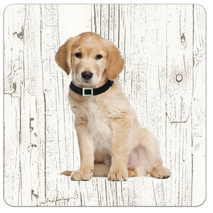 Hond Labrador | Houten Onderzetters 6 Stuks