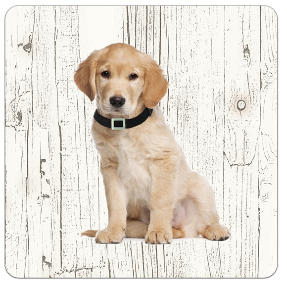 Hond Labrador | Houten Onderzetters 6 Stuks