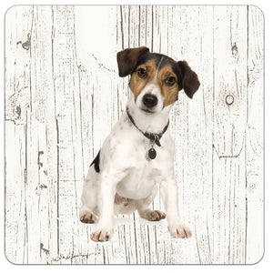 Hond Jack Russel | Houten Onderzetters 6 Stuks