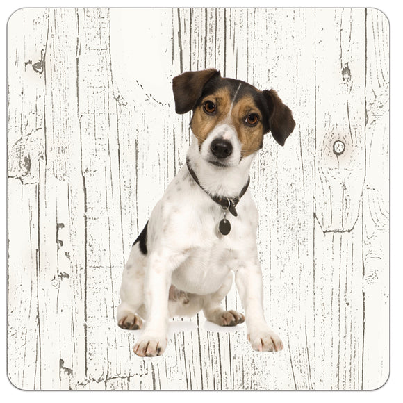 Hond Jack Russel | Houten Onderzetters 6 Stuks