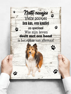 Wandbord hond: Collie - 30 x 42 cm