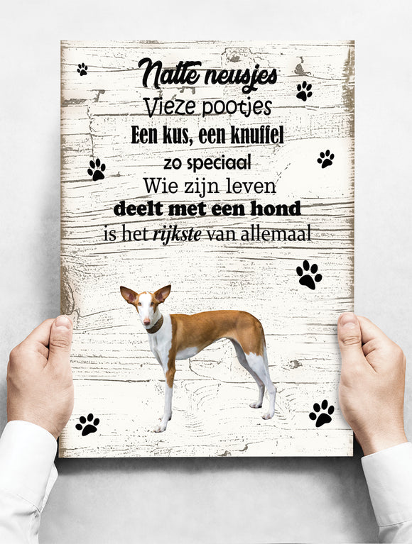 Wandbord hond: podenco - 30 x 42 cm