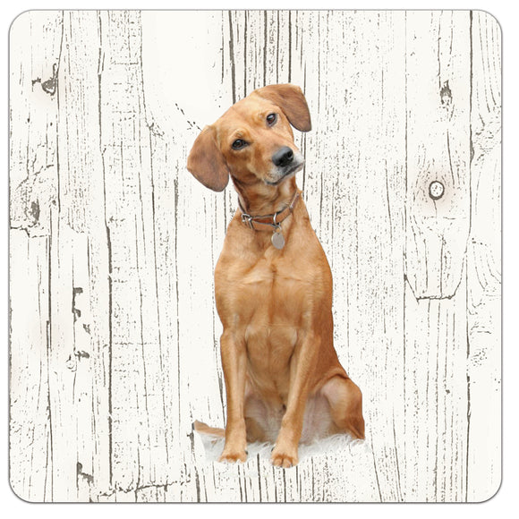 Hond labrador blond | Houten Onderzetters 6 Stuks