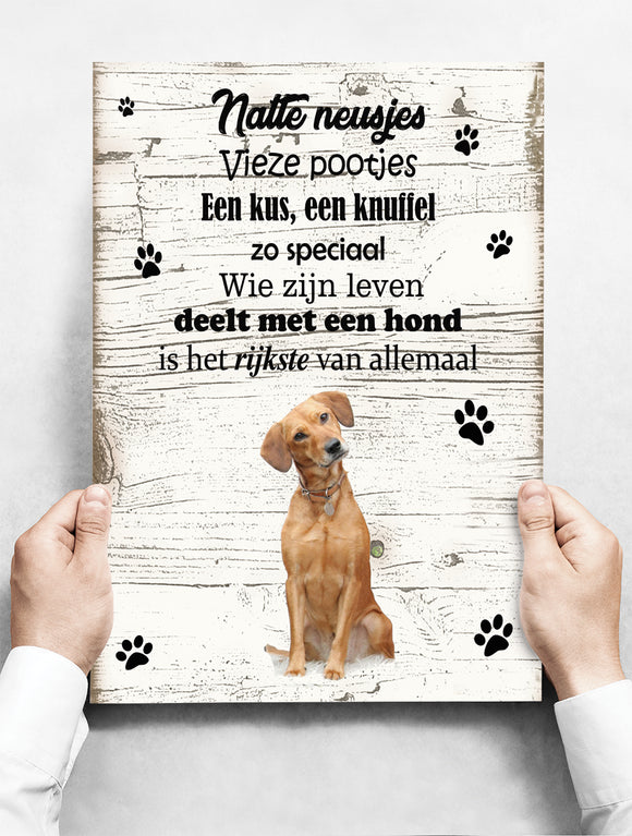 Wandbord hond: labrador blond - 30 x 42 cm