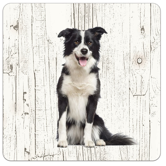 Hond bordercollie | Houten Onderzetters 6 Stuks