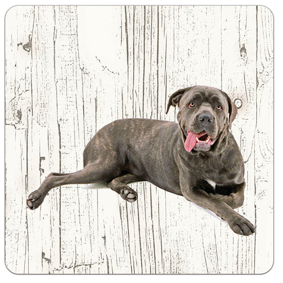 Hond cane corso | Houten Onderzetters 6 Stuks