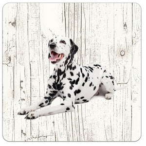 Hond DALMATIËR | Houten Onderzetters 6 Stuks
