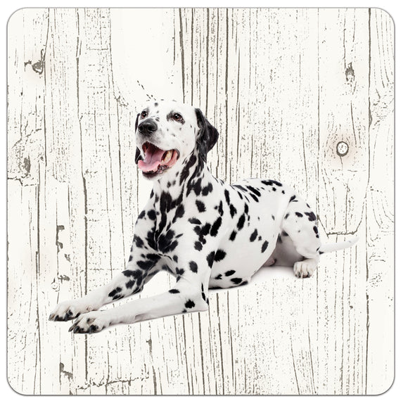 Hond DALMATIËR | Houten Onderzetters 6 Stuks