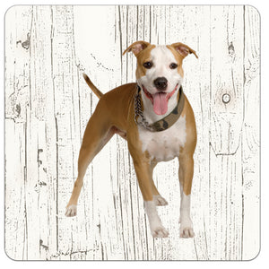 Hond Amerikaanse Staffordshireterriër | Houten Onderzetters 6 Stuks