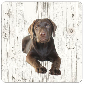 Hond Labrador bruin | Houten Onderzetters 6 Stuks