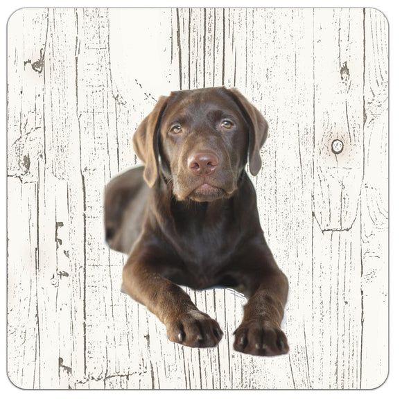 Hond Labrador bruin | Houten Onderzetters 6 Stuks