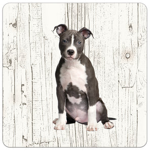 Hond American Staffordshire Terriër | Houten Onderzetters 6 Stuks