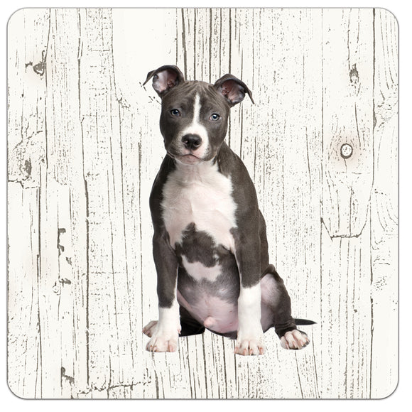 Hond American Staffordshire Terriër | Houten Onderzetters 6 Stuks