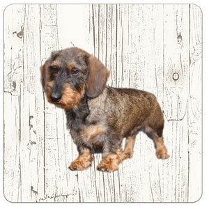 Hond Ruwharige tekkel | Houten Onderzetters 6 Stuks