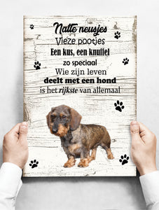 Wandbord hond: Ruwharige tekkel - 30 x 42 cm