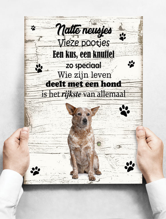 Wandbord hond: Australian Cattle Dog - 30 x 42 cm