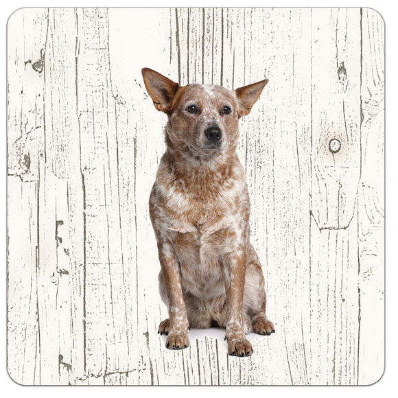 Hond Australian Cattle Dog | Houten Onderzetters 6 Stuks