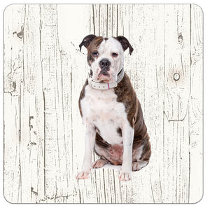 Hond Amerikaanse Buldog | Houten Onderzetters 6 Stuks