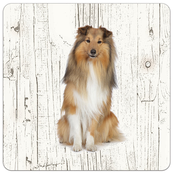 Hond Shetland Scheepdog(Sheltie) | Houten Onderzetters 6 Stuks