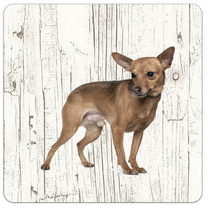 Hond Dwergpinscher | Houten Onderzetters 6 Stuks
