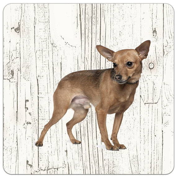 Hond Dwergpinscher | Houten Onderzetters 6 Stuks