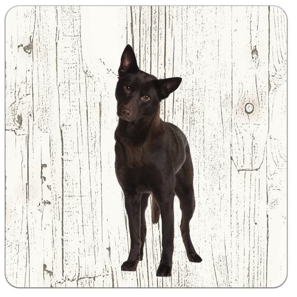 Hond Austrailian Celpie | Houten Onderzetters 6 Stuks