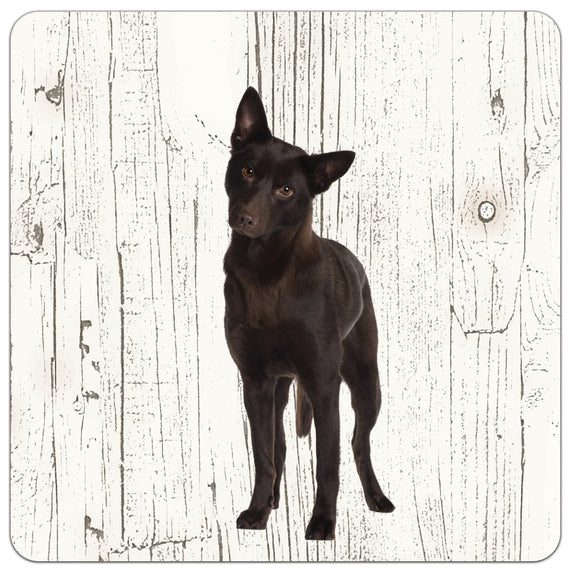 Hond Austrailian Celpie | Houten Onderzetters 6 Stuks