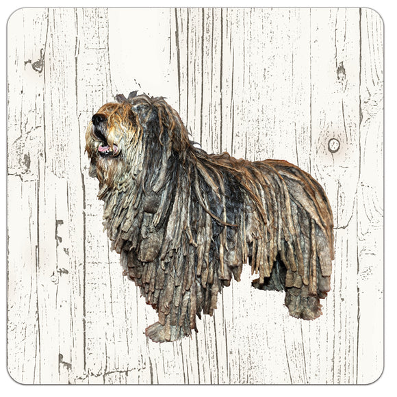 Hond Bergamasco | Houten Onderzetters 6 Stuks