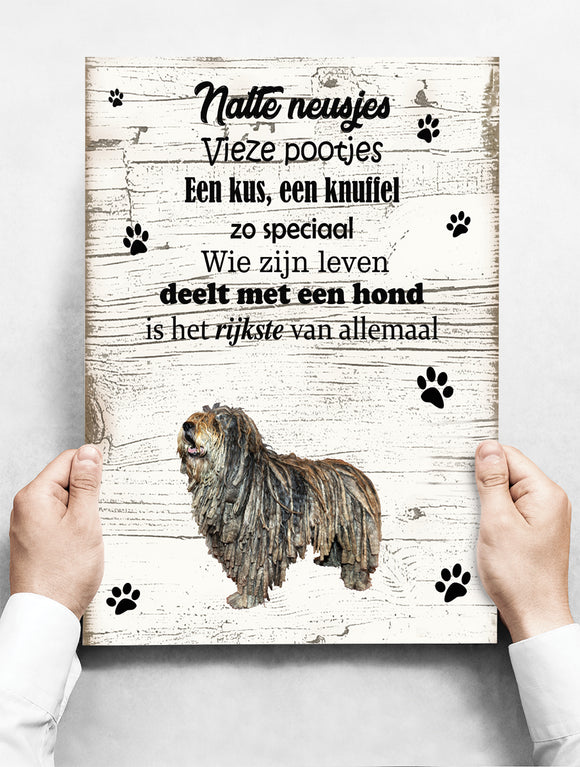 Wandbord hond: Bergamasco - 30 x 42 cm