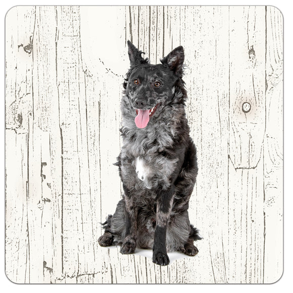 Hond Mudi | Houten Onderzetters 6 Stuks