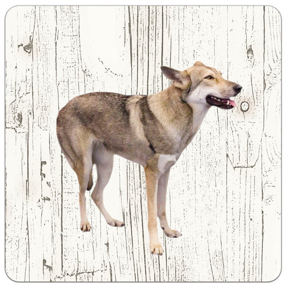 Hond Saarloos Wolfhond | Houten Onderzetters 6 Stuks